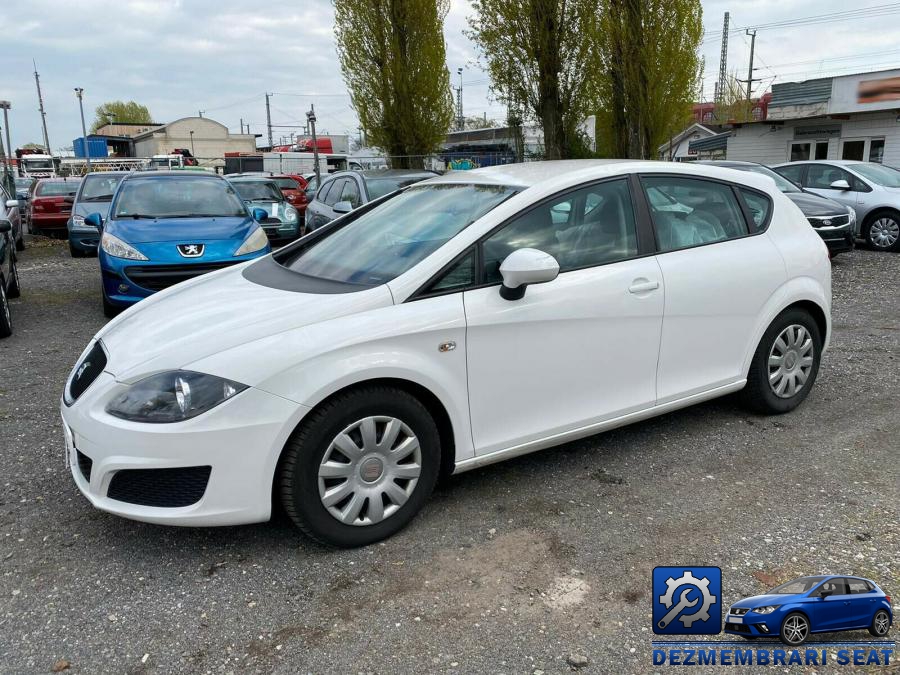 Baie ulei seat leon 2009