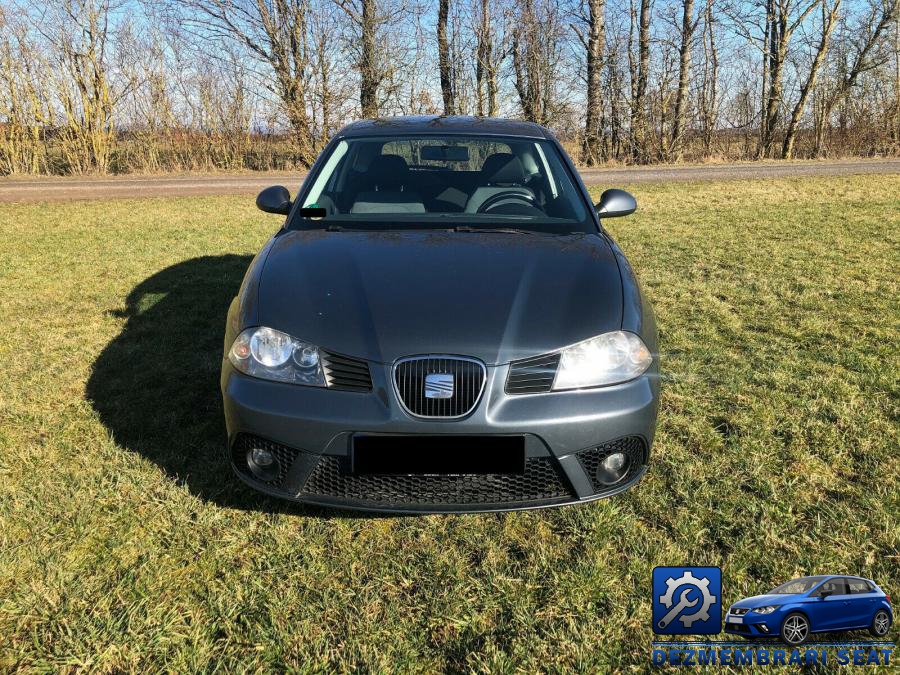 Bandouri seat ibiza 2004