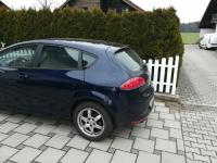 Amotizor seat leon 2008